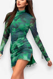 Mesh printed long-sleeved slim dress