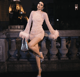 Transparent Pink Mesh Long Sleeve Dress - The Woman Concept